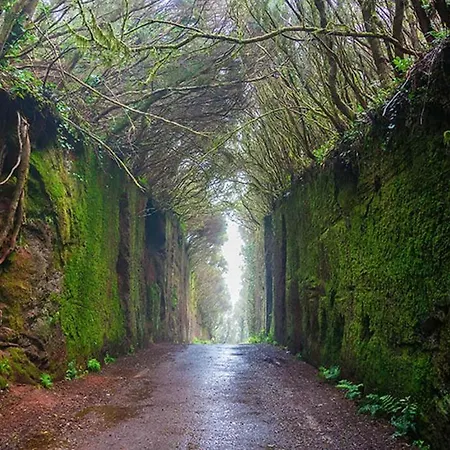 아파트 Secret Location San Andrés