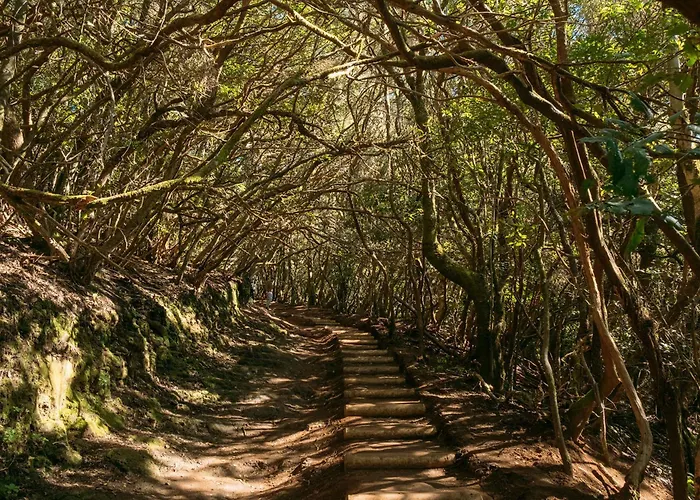 דירה Secret Location